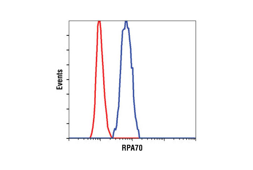 Flow Cytometry Image 1: RPA70/RPA1 Antibody