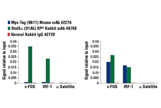 Chromatin Immunoprecipitation Image 1: Myc-Tag (9B11) Mouse mAb