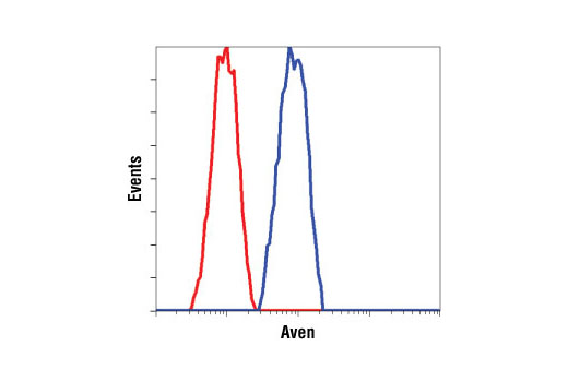 Flow Cytometry Image 1: Aven Antibody