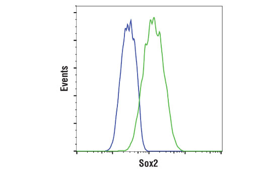 Flow Cytometry Image 2: Sox2 (D9B8N) Rabbit mAb