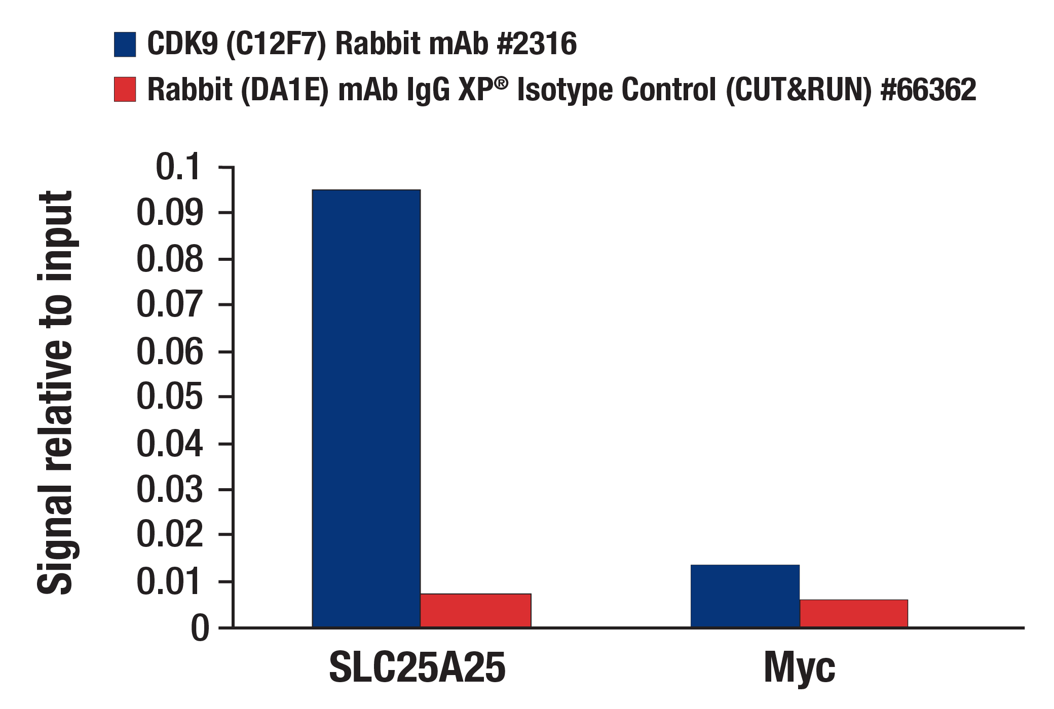  Image 23: CDK Antibody Sampler Kit