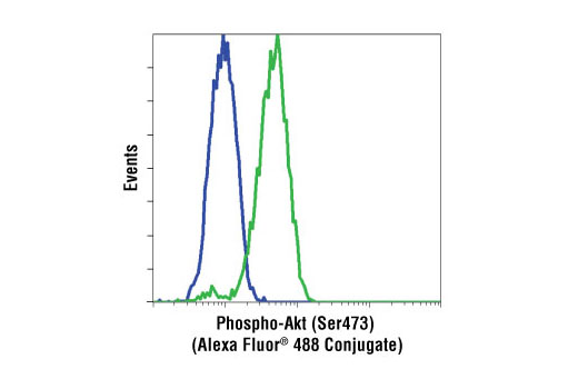 Flow Cytometry Image 1: Phospho-Akt (Ser473) (193H12) Rabbit mAb (Alexa Fluor® 488 Conjugate)