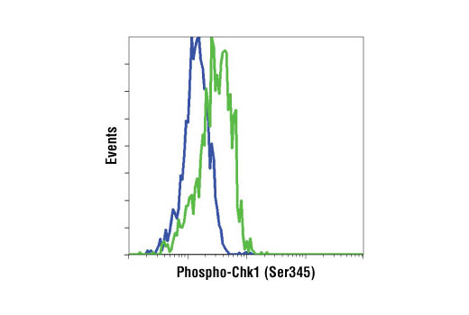 Flow Cytometry Image 1: Phospho-Chk1 (Ser345) (133D3) Rabbit mAb