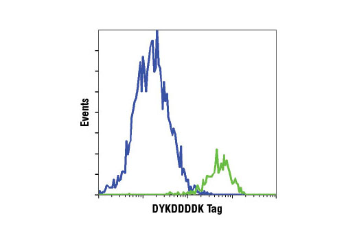 Flow Cytometry Image 1: DYKDDDDK Tag Antibody (Binds to same epitope as Sigma's Anti-FLAG® M2 Antibody)