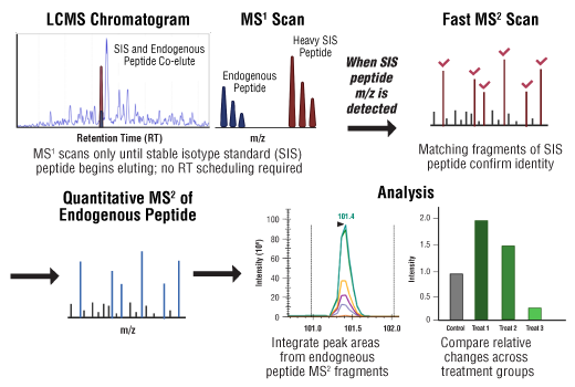  Image 2: SignalScan™ Peptide Mix (SARS-CoV-2)