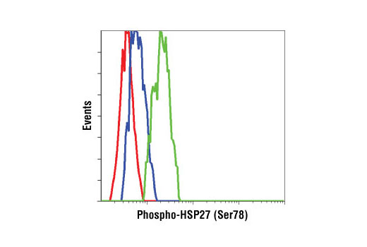 Flow Cytometry Image 1: Phospho-HSP27 (Ser78) Antibody