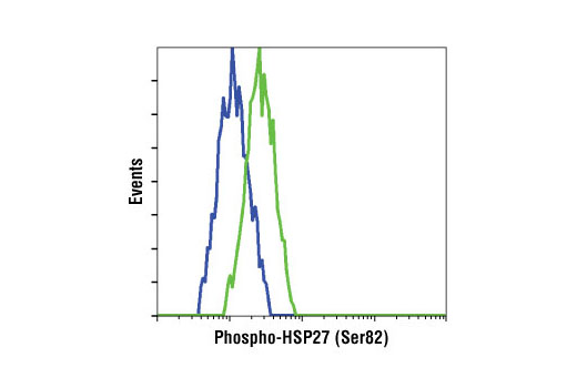 Flow Cytometry Image 1: Phospho-HSP27 (Ser82) Antibody II