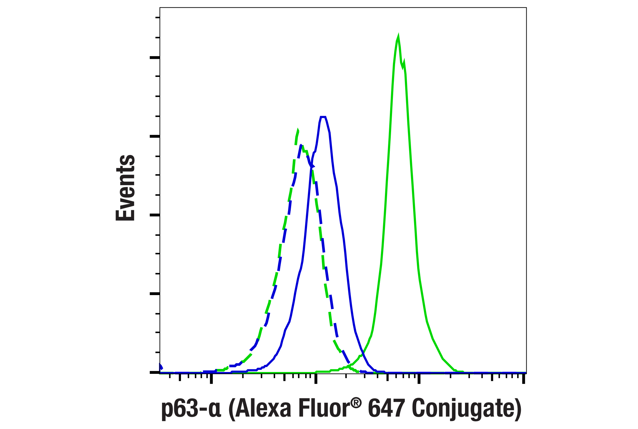 Flow Cytometry Image 1: p63-α (D2K8X) XP® Rabbit mAb (Alexa Fluor® 647 Conjugate)