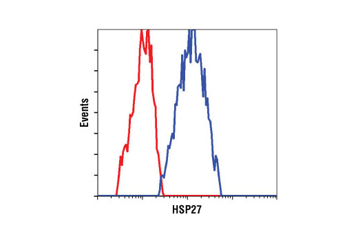 Flow Cytometry Image 1: HSP27 Antibody