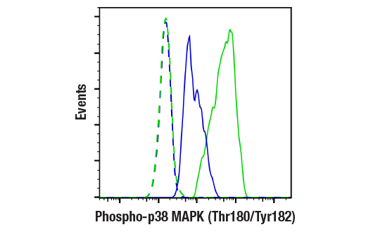Flow Cytometry Image 1: Phospho-p38 MAPK (Thr180/Tyr182) (28B10) Mouse mAb (BSA and Azide Free)