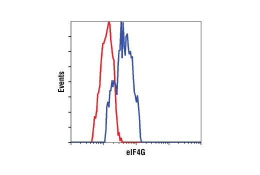 Flow Cytometry Image 1: eIF4G (C45A4) Rabbit mAb