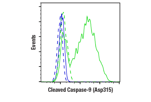 Flow Cytometry Image 1: Cleaved Caspase-9 (Asp315) (D8I9E) Rabbit mAb (BSA and Azide Free)