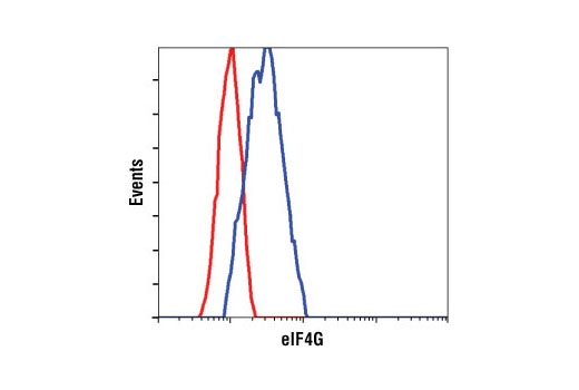 Flow Cytometry Image 1: eIF4G Antibody