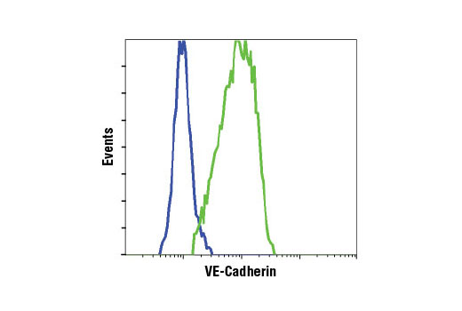 Flow Cytometry Image 1: VE-Cadherin (D87F2) XP® Rabbit mAb
