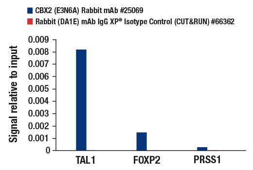 CUT and RUN Image 3: CBX2 (E3N6A) Rabbit mAb