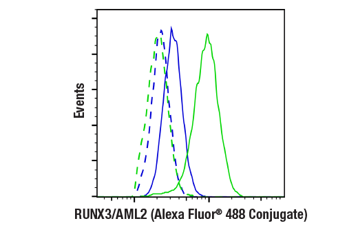 Flow Cytometry Image 1: RUNX3/AML2 (D6E2) Rabbit mAb (Alexa Fluor® 488 Conjugate)