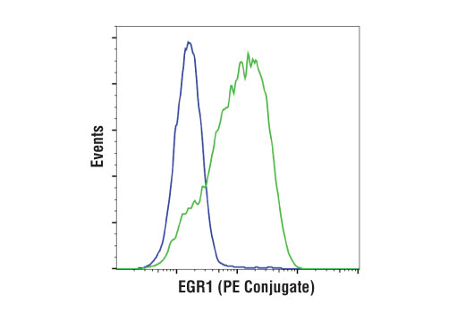 Flow Cytometry Image 1: EGR1 (44D5) Rabbit mAb (PE Conjugate)