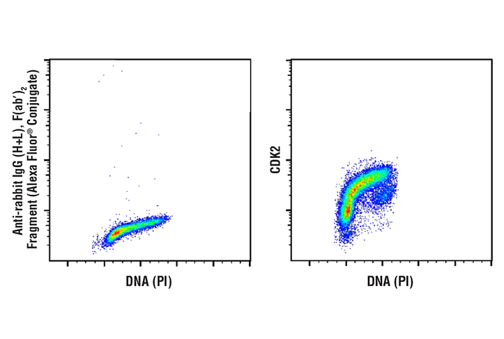Flow Cytometry Image 1: CDK2 (78B2) Rabbit mAb