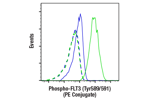 Flow Cytometry Image 1: Phospho-FLT3 (Tyr589/591) (E4D6Y) Rabbit mAb (PE Conjugate)