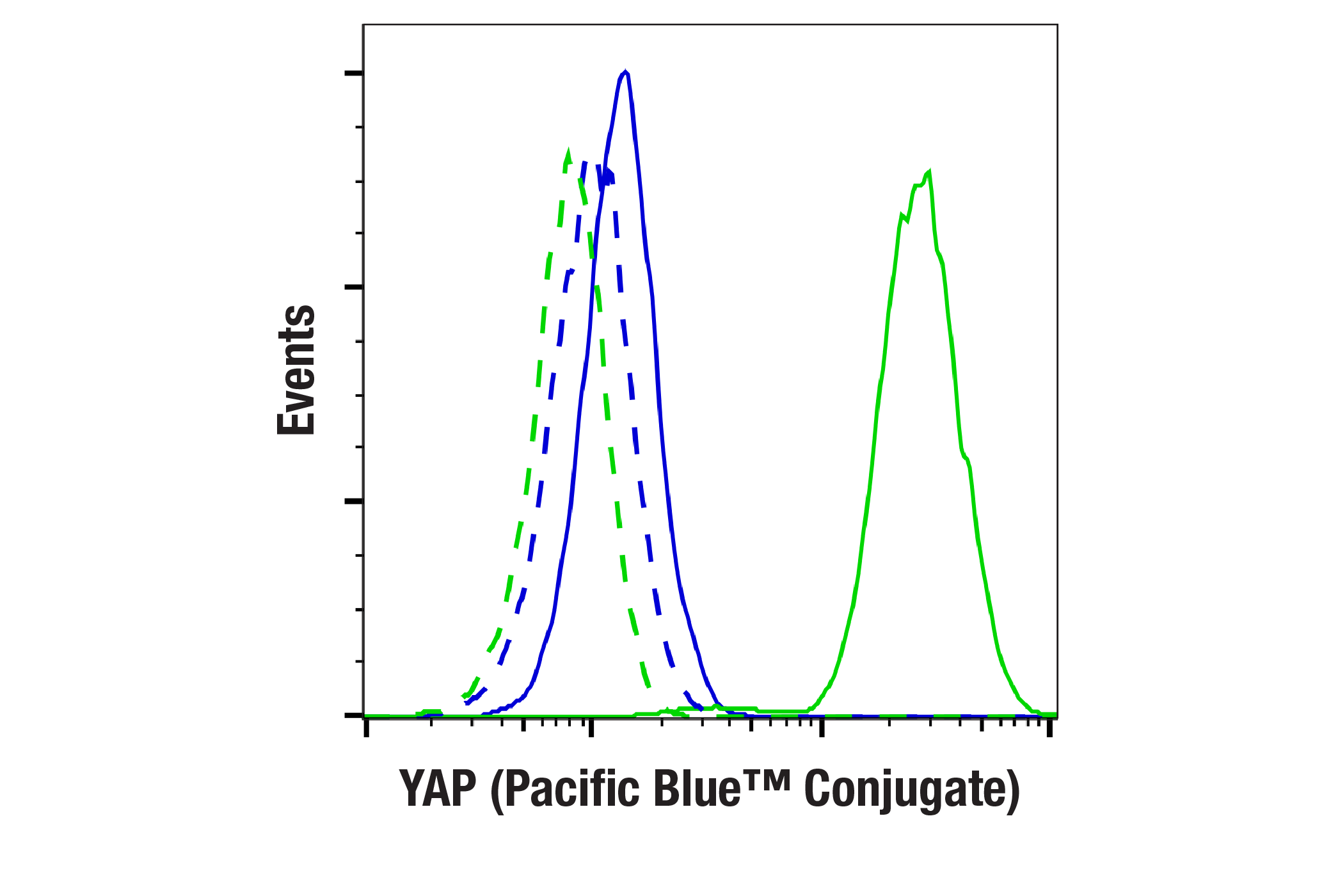 Flow Cytometry Image 1: YAP (D8H1X) XP® Rabbit mAb (Pacific Blue™ Conjugate)