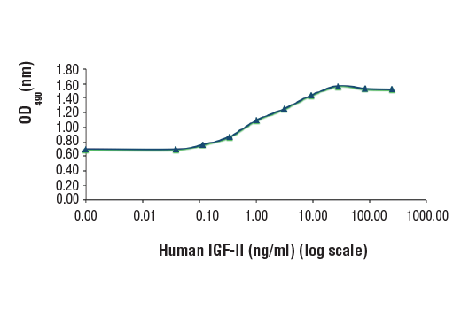  Image 1: Human Insulin-like Growth Factor II (hIGF-II)