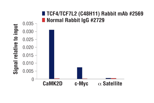 Chromatin Immunoprecipitation Image 3: TCF4/TCF7L2 (C48H11) Rabbit mAb