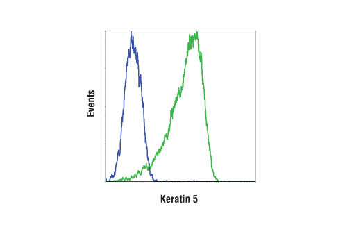 Flow Cytometry Image 1: Keratin 5 (D4U8Q) Rabbit mAb
