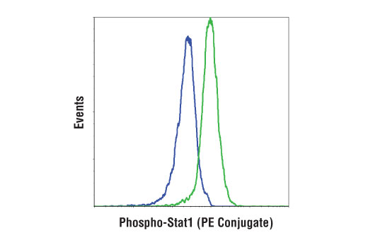 Flow Cytometry Image 1: Phospho-Stat1 (Tyr701) (D4A7) Rabbit mAb (PE Conjugate)
