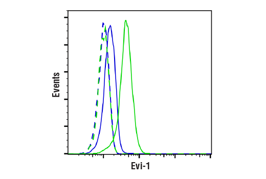Flow Cytometry Image 1: Evi-1 (C50E12) Rabbit mAb