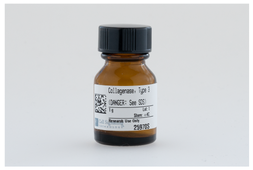  Image 1: Collagenase, Type 3