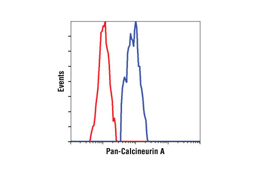 Flow Cytometry Image 1: Pan-Calcineurin A Antibody