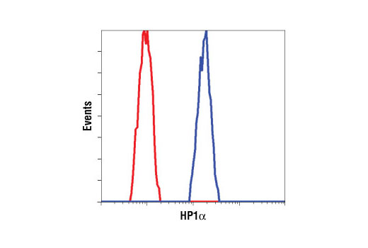Flow Cytometry Image 1: HP1α Antibody
