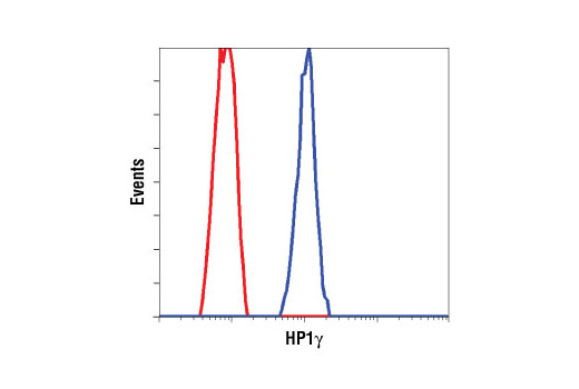 Flow Cytometry Image 1: HP1γ Antibody