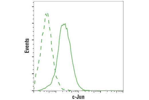 Flow Cytometry Image 1: c-Jun (60A8) Rabbit mAb (BSA and Azide Free)