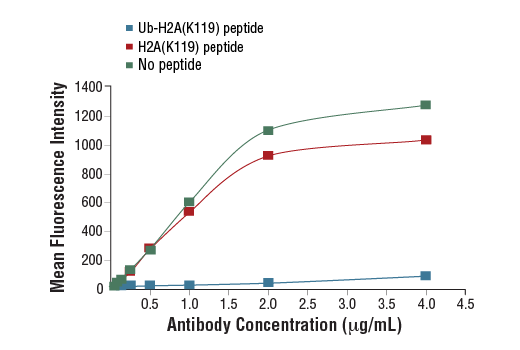 Immunofluorescence Image 3: Ubiquityl-Histone H2A (Lys119) (D27C4) XP® Rabbit mAb (Alexa Fluor® 488 Conjugate)