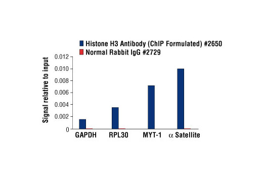 Chromatin Immunoprecipitation Image 1: Histone H3 Antibody (ChIP Formulated)