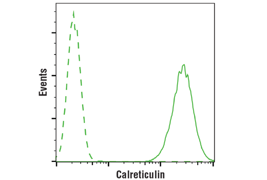 Flow Cytometry Image 1: Calreticulin (D3E6) XP® Rabbit mAb (BSA and Azide Free)