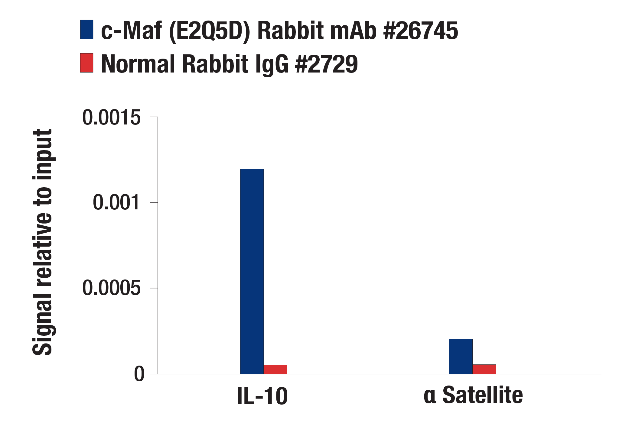 Chromatin Immunoprecipitation Image 1: c-Maf (E2Q5D) Rabbit mAb