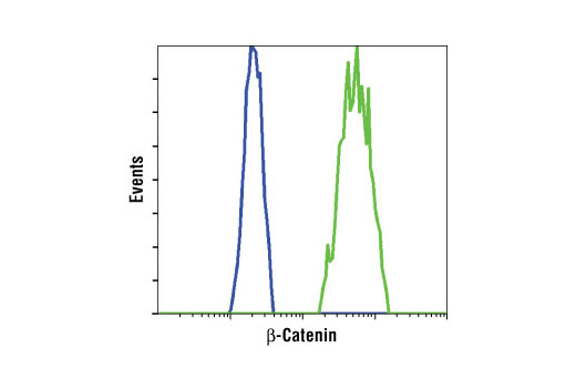 Flow Cytometry Image 1: β-Catenin (L54E2) Mouse mAb