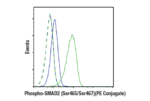 Flow Cytometry Image 1: Phospho-SMAD2 (Ser465/Ser467) (E8F3R) Rabbit mAb (PE Conjugate)