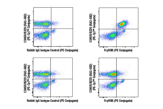 Flow Cytometry Image 1: FcγRIIB (D8F9C) XP® Rabbit mAb (PE Conjugate)