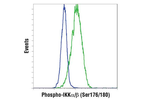 Flow Cytometry Image 1: Phospho-IKKα/β (Ser176/180) (16A6) Rabbit mAb