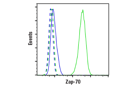 Flow Cytometry Image 1: Zap-70 (99F2) Rabbit mAb