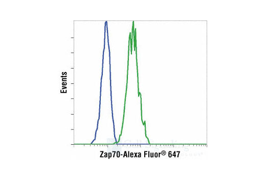 Flow Cytometry Image 1: Zap-70 (136F12) Rabbit mAb (Alexa Fluor® 647 Conjugate)