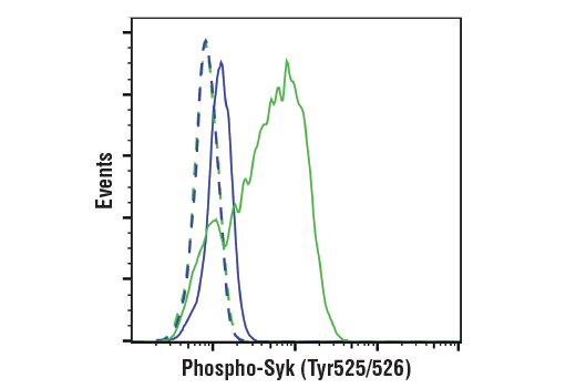 Flow Cytometry Image 1: Phospho-Syk (Tyr525/526) (C87C1) Rabbit mAb