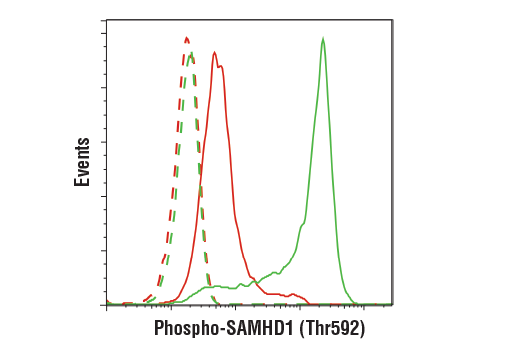 Flow Cytometry Image 1: Phospho-SAMHD1 (Thr592) (D7O2M) Rabbit mAb (BSA and Azide Free)