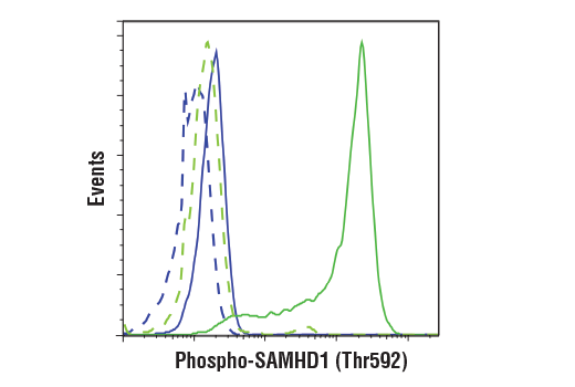Flow Cytometry Image 2: Phospho-SAMHD1 (Thr592) (D7O2M) Rabbit mAb (BSA and Azide Free)