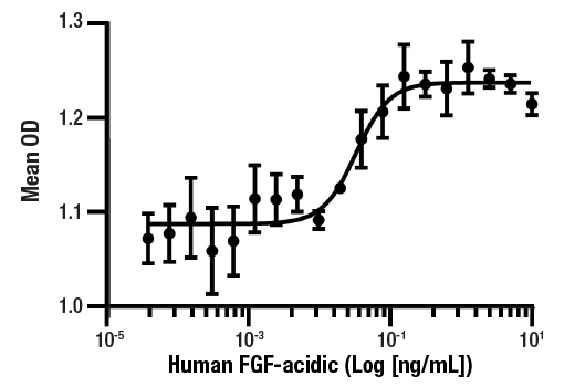  Image 1: Human FGF-acidic/FGF1 Recombinant Protein