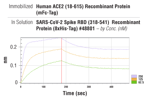  Image 3: Human ACE2 (18-615) Recombinant Protein (mFc-Tag)