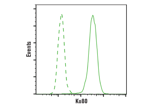 Flow Cytometry Image 1: Ku80 Antibody